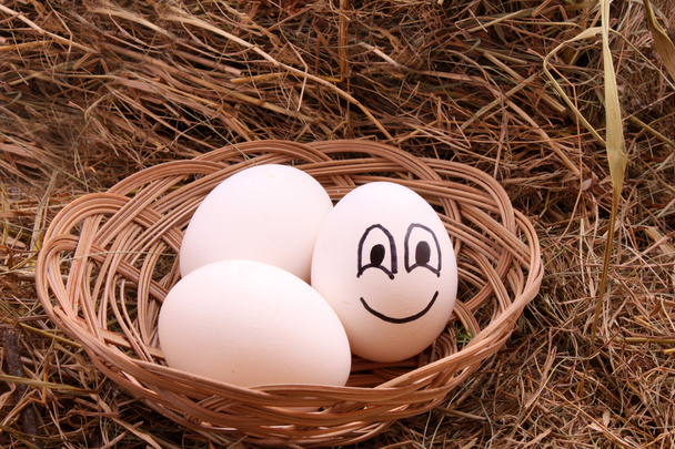 Eggs on the hay - Foto, afbeelding