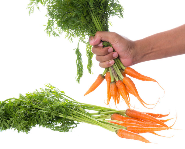 Куча свежей моркови - Фото, изображение
