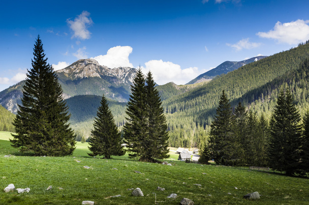 Chocholowska κοιλάδα, στα βουνά Τάτρα, Πολωνία - Φωτογραφία, εικόνα