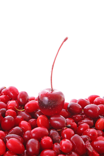 Cherry and cranberries on white background - Fotó, kép