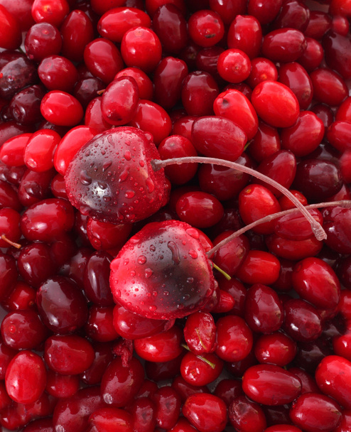 Cherries on the cranberries background - Foto, imagen