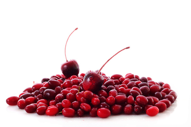 Cranberries on white background - Foto, afbeelding