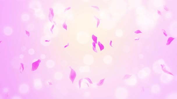 Loop Pink Rose Petals Falling, cherry blossom on spring background, nature - Footage, Video