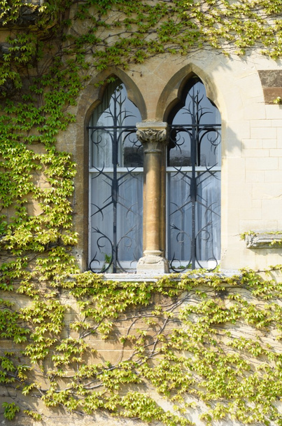 Ivy surrounding old arched window - Photo, Image