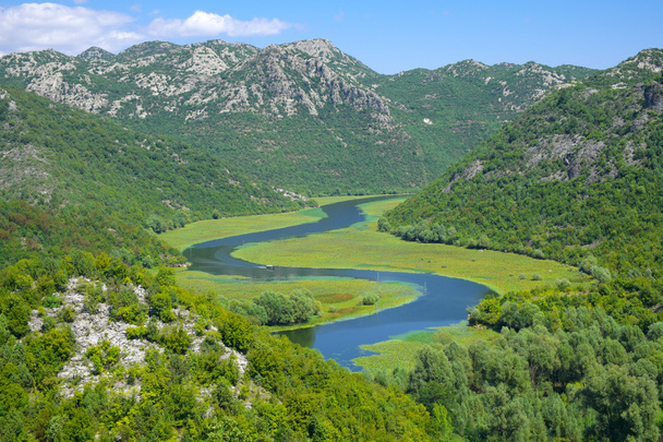 Río Crnojevica En el Parque Nacional del Lago Skadar, Montenegro
 - Foto, Imagen