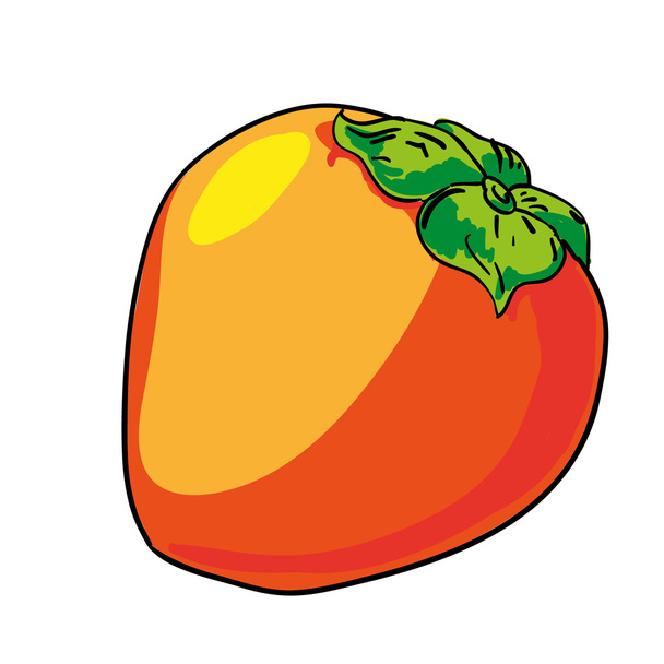 persimmon hand drawn fruits isolated vector - Vetor, Imagem