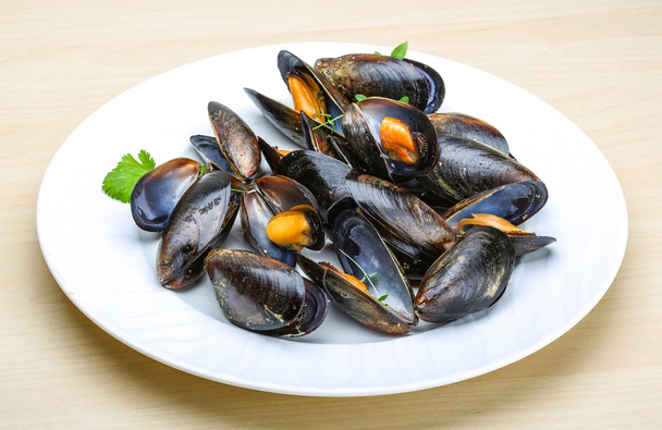 tasty Boiled mussels - Photo, Image