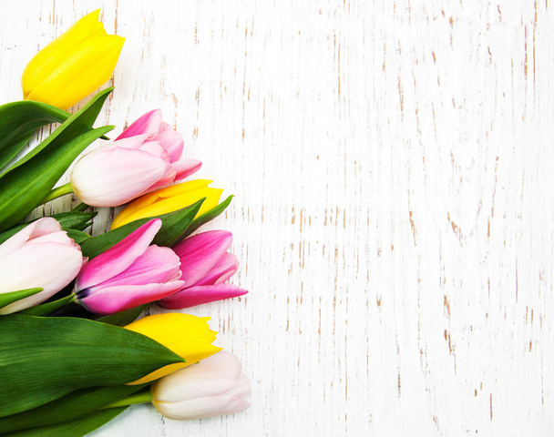 bouquet of  tulips - Фото, изображение