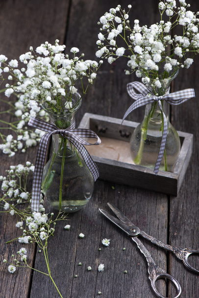 fresco prado salvaje flores blancas en tarro de albañil
 - Foto, imagen
