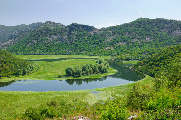 Crnojevica River jest dopływem Jeziora Skadar, Czarnogóra - Zdjęcie, obraz