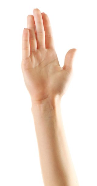 Женская рука изолирована на белом
 - Фото, изображение