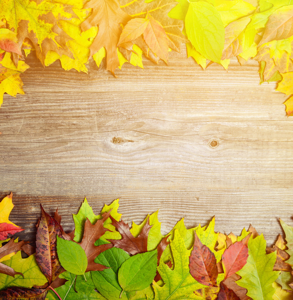 Parfait fond d'automne composé de feuilles automnales multicolores m
 - Photo, image