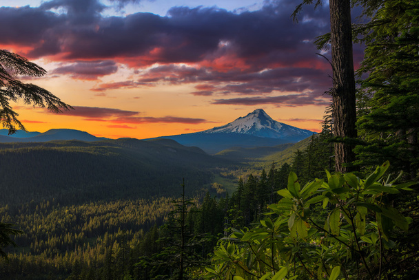 Beautiful Vista of Mount Hood in Oregon, USA - Photo, Image