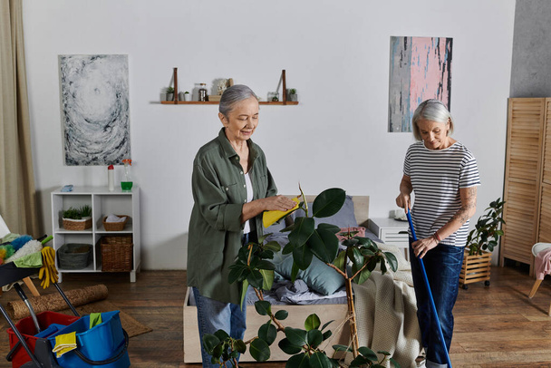 Zwei reife lesbische Frauen in lässiger Kleidung putzen ihre moderne Wohnung, wobei die eine eine eine Pflanze abstaubt, während die andere den Boden fegt. - Foto, Bild