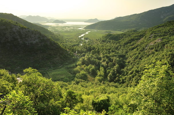Park Narodowy Jeziora Skadar, Czarnogóra - Zdjęcie, obraz