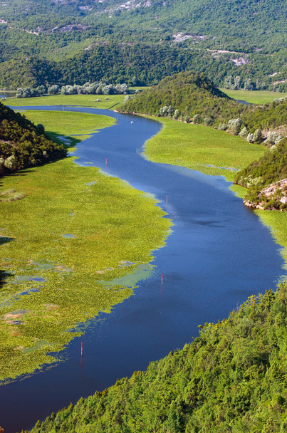 Crnojevica rzeki i Parku Narodowego Jeziora Skadar, Czarnogóra - Zdjęcie, obraz
