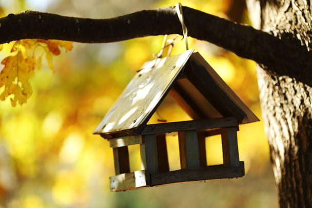 Birdhouse in the autumn forest - 写真・画像