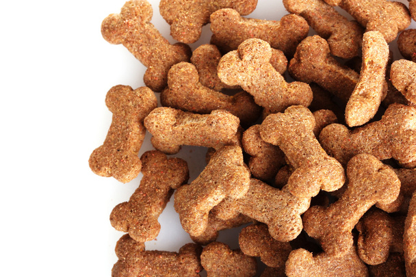 Dog food - Фото, изображение