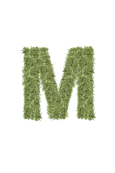 The letter from the alphabet of arugula - Foto, afbeelding