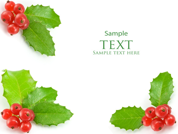 Christmas decoration with holly leaves and berries - Foto, imagen