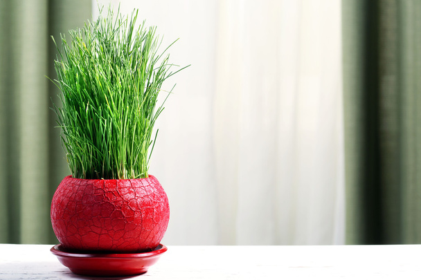 Green grass in pot on fabric background - Valokuva, kuva