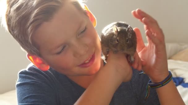 Boy plays with ground squirrel - Materiał filmowy, wideo