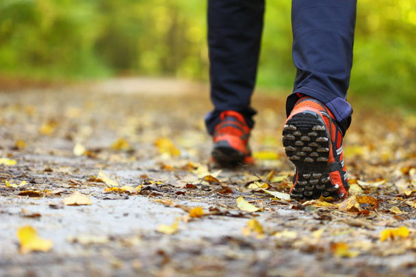 muž chodící běžecké stopy v podzimním lese - Fotografie, Obrázek