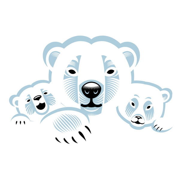 Weiße Eisbären - Vektor, Bild