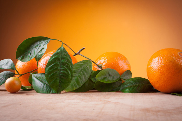 Апельсини з пагонами на дерев'яному столі
 - Фото, зображення