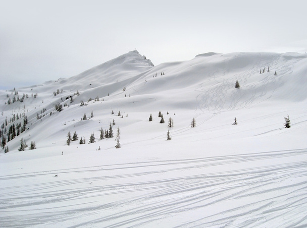 πίστες σκι σε wagrain - Φωτογραφία, εικόνα