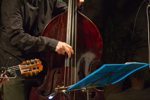 Un concierto de violonchelo
 - Foto, Imagen