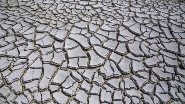 Land Cracked From Drought. - Footage, Video