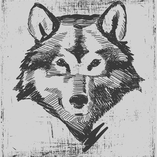 オオカミの頭は手描きのスケッチ グランジ テクスチャ スタイルを彫刻 - ベクター画像