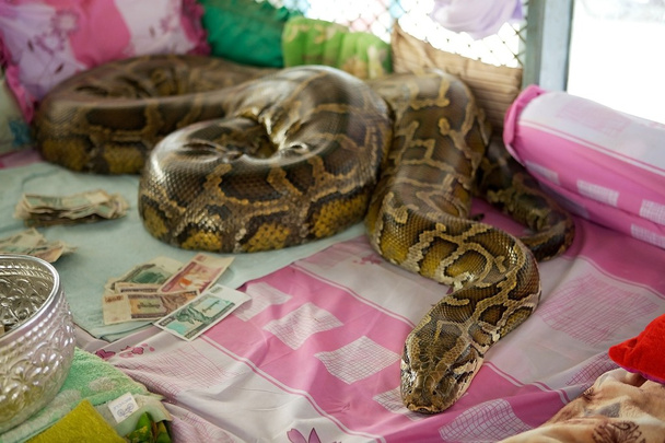 Snake Pagoda - Fotografie, Obrázek