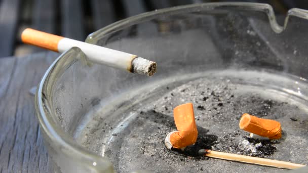 cigaretta a hamutartóban - Felvétel, videó
