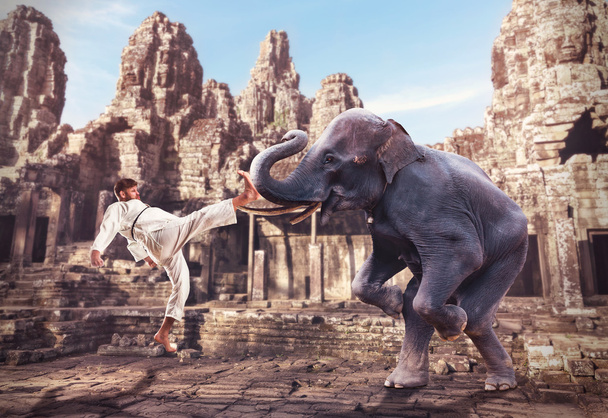 Karateka taistelee norsun kanssa.
 - Valokuva, kuva