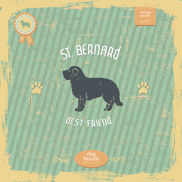 St. Bernard vintage tipografi poster el çekilmiş - Vektör, Görsel
