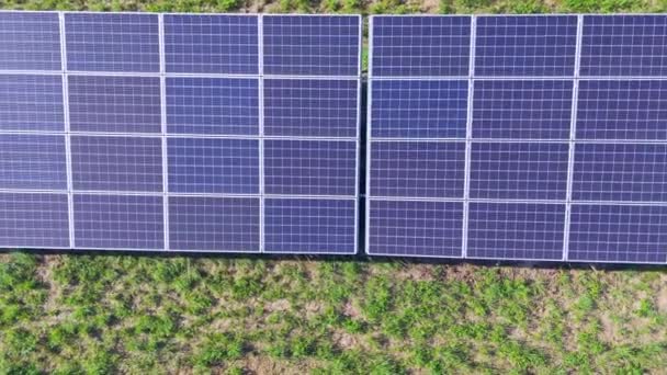4K Aerial view of solar panels farm (solar cell). clean ecological electricity. Production of renewable energy concept. Photovoltaic panels farm from the sky - Felvétel, videó