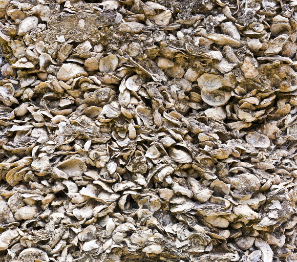шаблон оболочек из бетона в качестве строительного материала
 - Фото, изображение