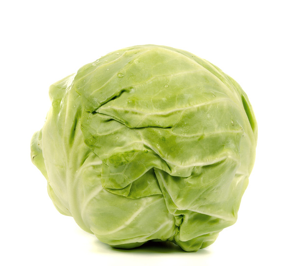 cabbage - Zdjęcie, obraz