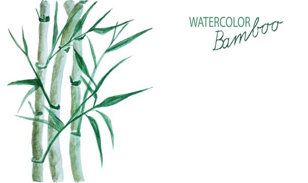 分離された緑の竹の水彩 - ベクター画像