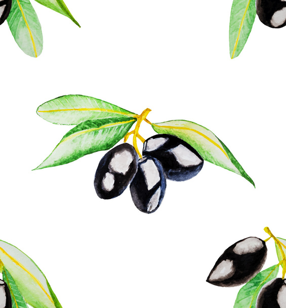 акварельні оливки ізольовані на білому
 - Вектор, зображення