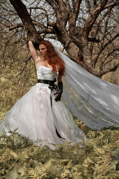 Bride girl - Foto, Imagen