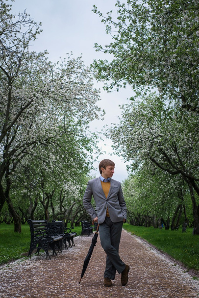 A young man in a gray suit with a black umbrella-cane on the track in the lush apple orchard - 写真・画像
