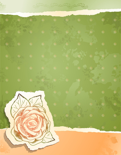 Vintage background with rose, vector - Vector, Image