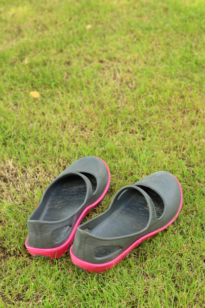 Черные туфли лежат на зеленой траве
. - Фото, изображение