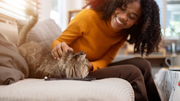 Eine Nahaufnahme zeigt eine glückliche schwarze Frau, die mit ihrer flauschigen Katze auf der Couch im Wohnzimmer spielt. Haustier, Liebe und Zärtlichkeit, Tierliebhaber, Hauskatze und Besitzer - Foto, Bild