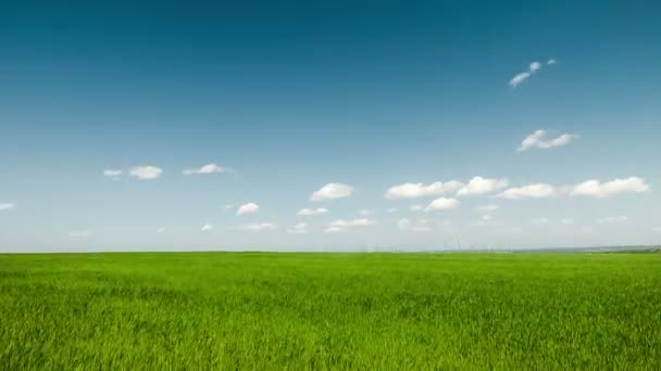Modré mraky na pozadí zeleného pole - Záběry, video