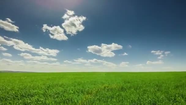 wolken boven het groene veld - Video