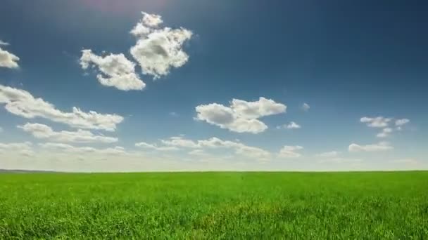 felhők felett a zöld mező - Felvétel, videó